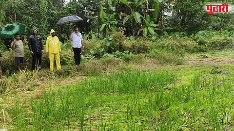 Konkan region crop loss