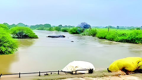 Marathwada Rain