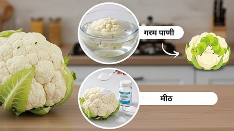 Cauliflower Cleaning Tips