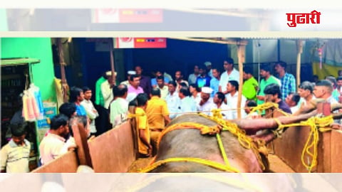 पालघर
