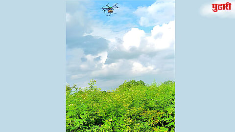 Beed Agriculture News