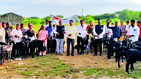Jalna News