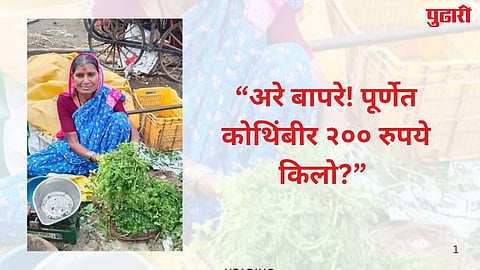 Purna Market coriander price 200 per kg