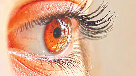 Vitamin Deficiency |...या जीवनसत्त्वाच्या कमतरतेमुळे डोळ्यांत चिकट पदार्थ जमा होतो