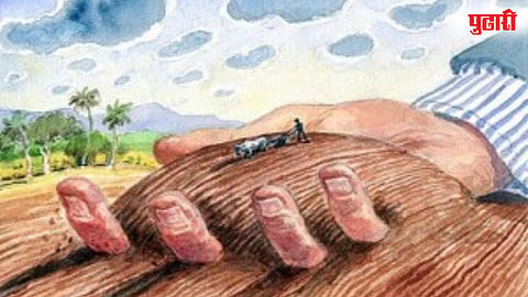 Land Grabbing