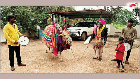 लोप पावत चालली नंदीबैल लोककला; चांडोलीचे लक्ष्मण आव्हाड जपताहेत परंपरा