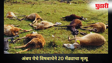 Kolhapur News |