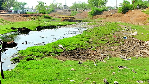 Sukhna River