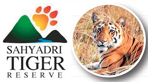 Sahyadri Tiger Corridor |