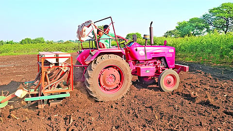 Rabi Season