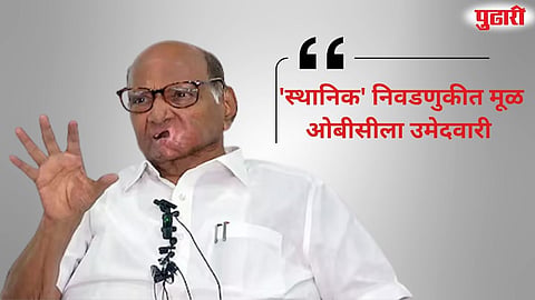 Maharashtra Politics : शरद पवारांचा मोठा निर्णय : स्थानिक स्वराज संस्था निवडणुकीत 'मूळ' ओबीसी उमेदवारांनाच संधी