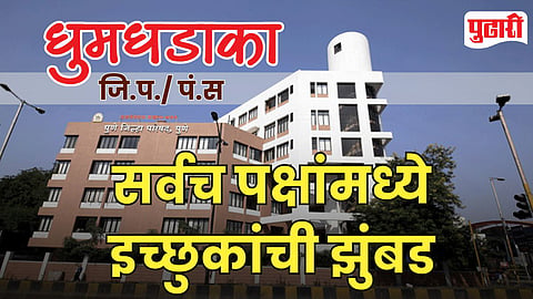 ZP Election