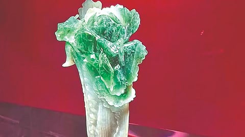 Taiwan Museum: तैवानच्या म्युझियममध्ये लोक पाहण्यासाठी येतात ’पत्ताकोबी’!