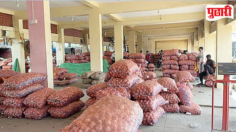 Onion Price Crisis