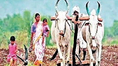 Ratnagiri News