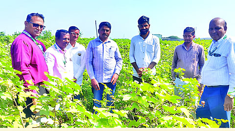 Jalna Farmer News