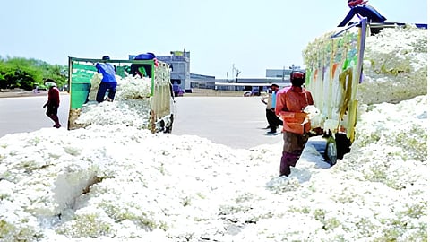 Farmers looted by private traders