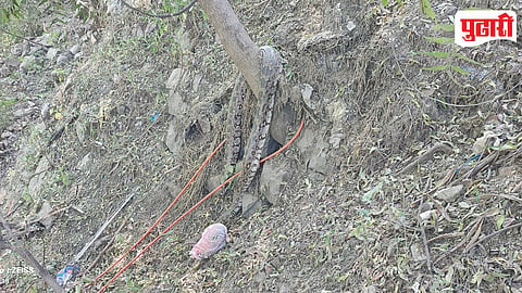 Python Rescue