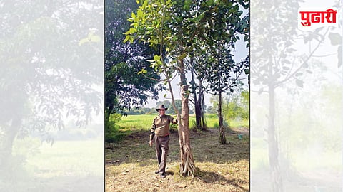 खडकवासला धरण तीरावर खानापूरमधील पडीक जमिनीवर बहरलेले देशातील पहिला वटवृक्ष पार्क. ( छाया ः दत्तात्रय नलावडे)