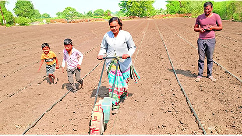 Jalna Agricultural News