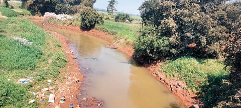Belgaum News: ‘मार्कंडेय’च्या पातळीत लक्षणीय घट