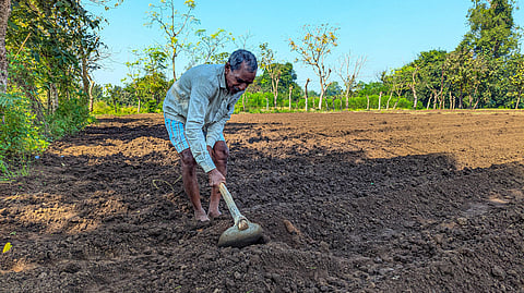 Wada taluka flower farming crisis