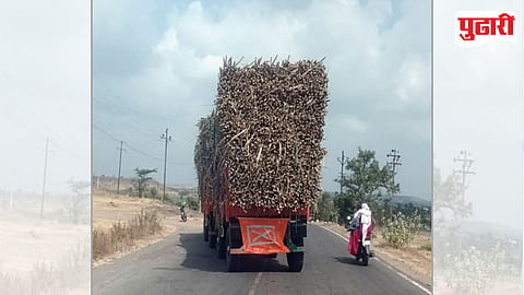 जिल्ह्यात धोकादायक पद्धतीने ऊस वाहतूक