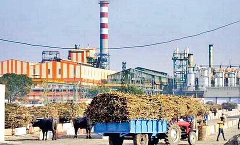 Government Scheme: वेळेवर कर्ज फेडा, राज्यस्तरीय बक्षिस मिळवा