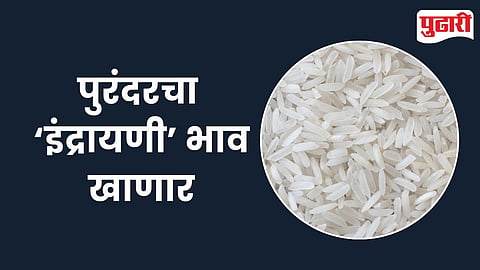 Purandar Indrayani Rice Price