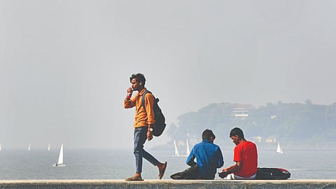BMC action on construction pollution