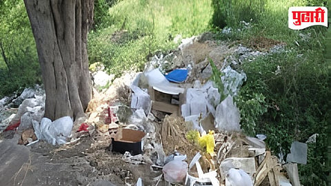 Waste Pollution