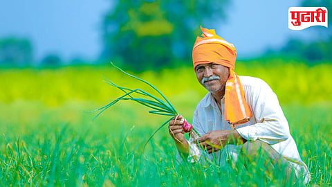 Farmer Service Centers