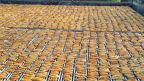 Sukeli Vasai export