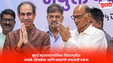 BMC Election