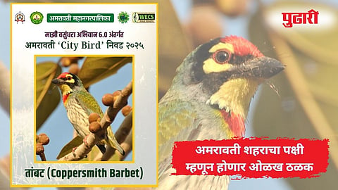 Amarvati City Bird
