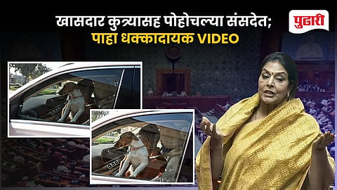 Congress MP Dog in Parliament
