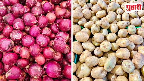 Chakan Market Yard Rate