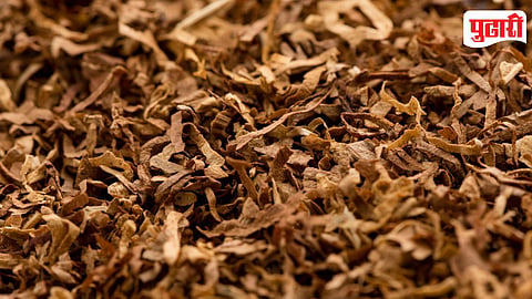 Tobacco