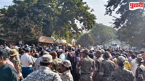 Gadchiroli tiger attacks issues