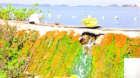 Ghanegaon lake