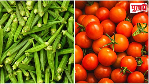 Ladyfinger tomato