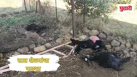 Beed News