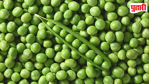 Green Peas