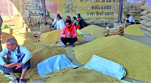 Soybean prices