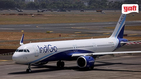 Indigo