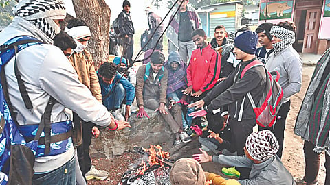 नाशिक