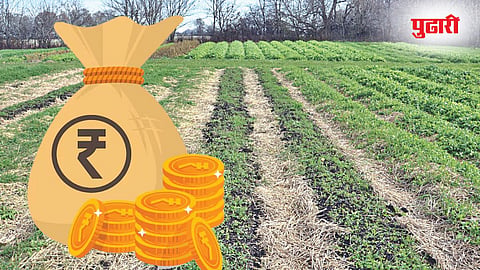 Indebted Farmers : राज्य सरकारने कर्जदार शेतकऱ्यांची मागवली माहिती