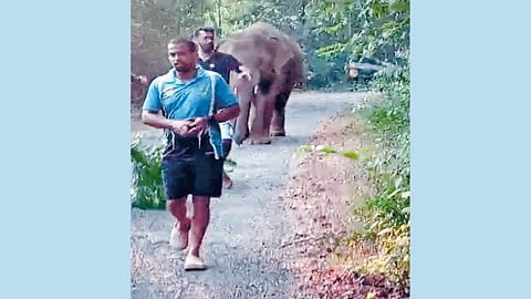 Omkar Arrival Sindhudurg News