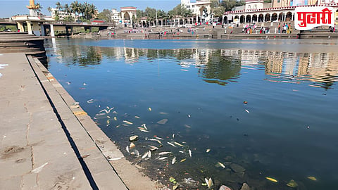 Dead Fish