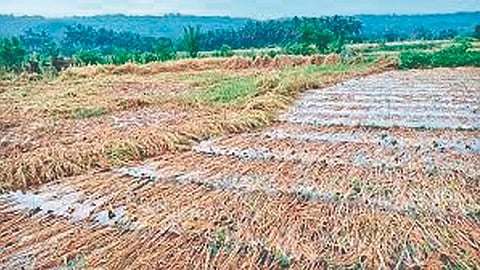 Unseasonal Rain 2026